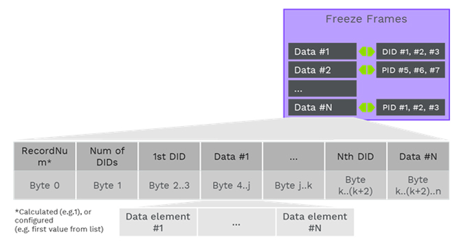 Details of DTC Snapshot Data